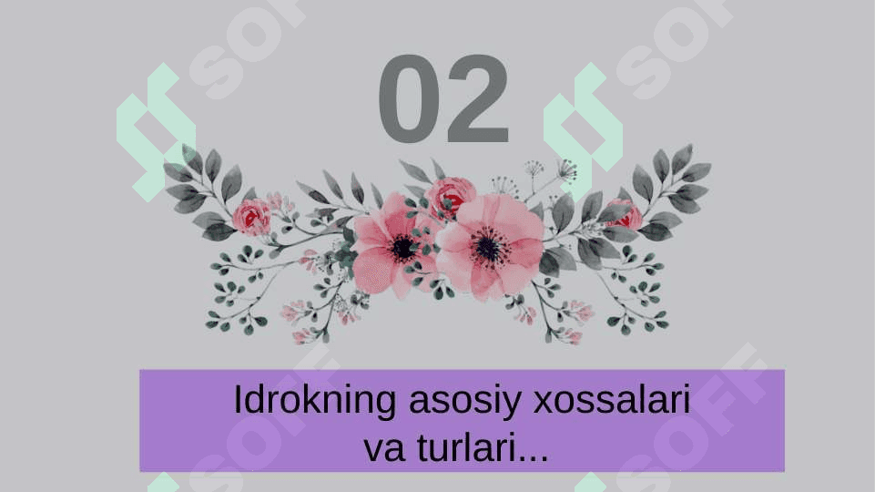 Idrok ilyuzalari va ularni amaliyotda qo'llash taqdimot 6