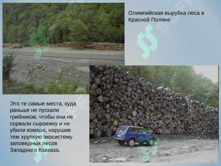 Глобальный экологический кризис и пути его преодоления 4