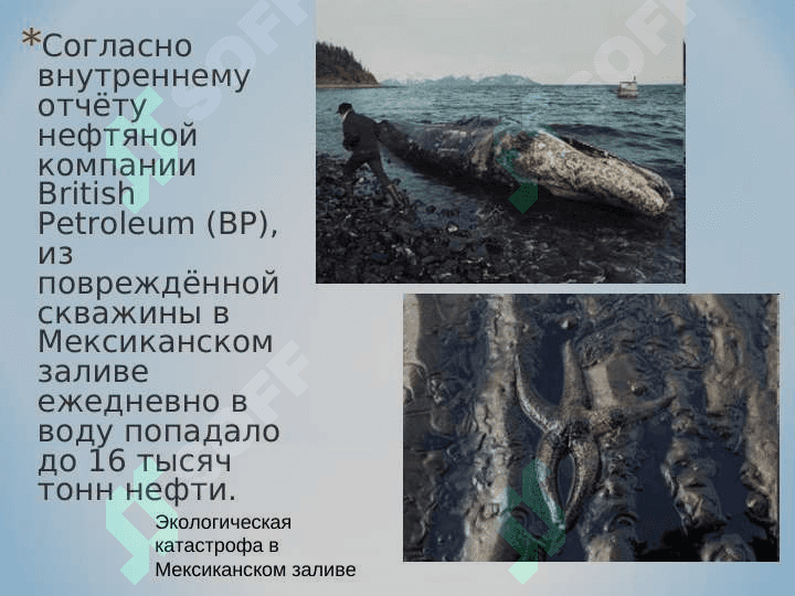 Глобальный экологический кризис и пути его преодоления 7