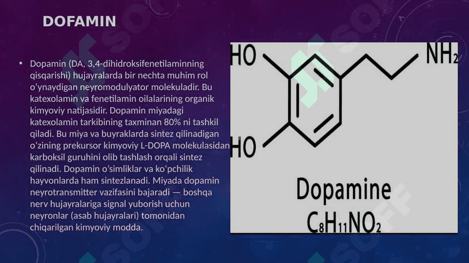 Dofamin gormoni 3
