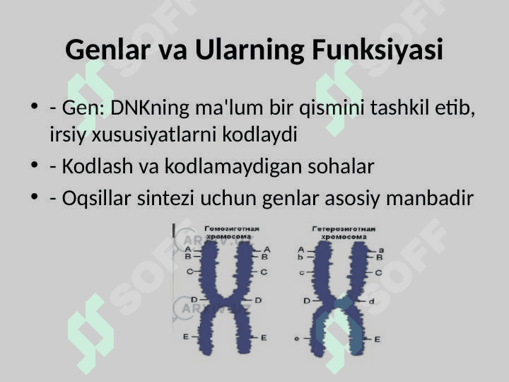 Irsiyatning molekulyar asoslari 8