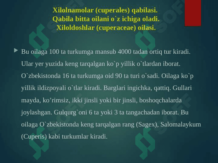 Bug'doydoshlar oilasi 2