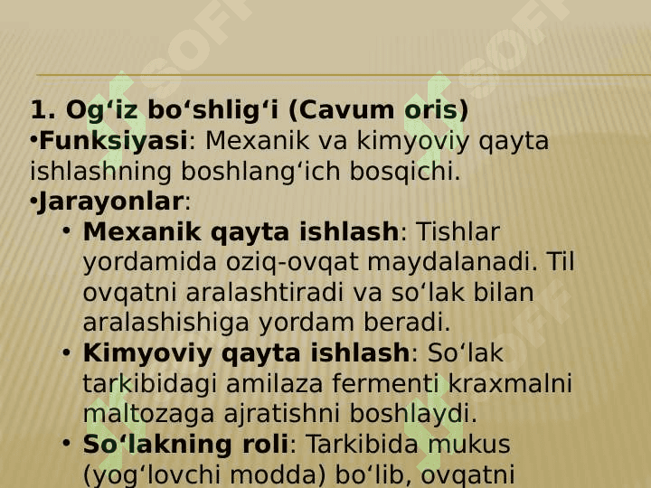 OVQAT HAZIM QILISH A’ZOLARINING FIZIALOGIYASI 5
