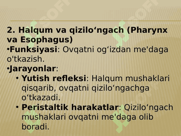 OVQAT HAZIM QILISH A’ZOLARINING FIZIALOGIYASI 6