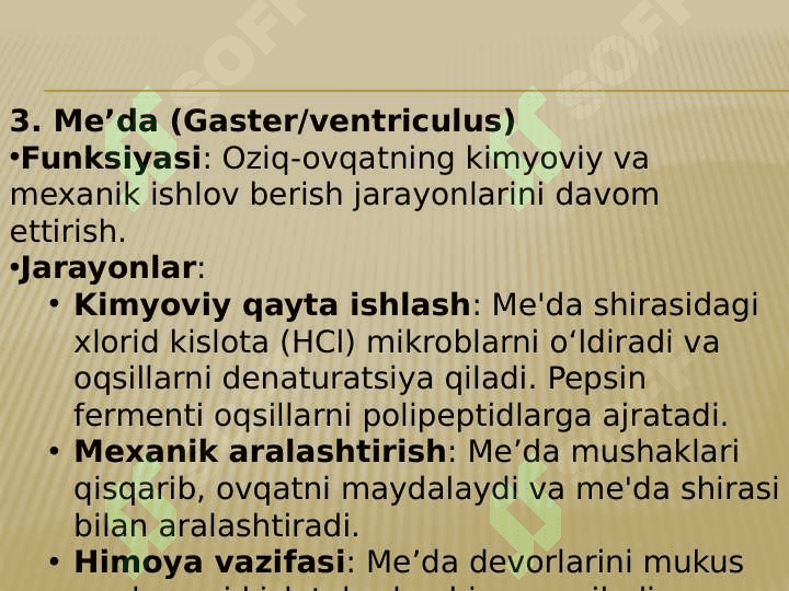 OVQAT HAZIM QILISH A’ZOLARINING FIZIALOGIYASI 7