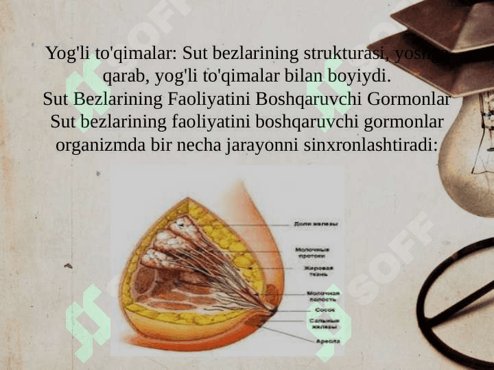 Sut bezlari faoliyatining boshqariluvi, sut bezlarining yoshga qarab o'zgarish 6