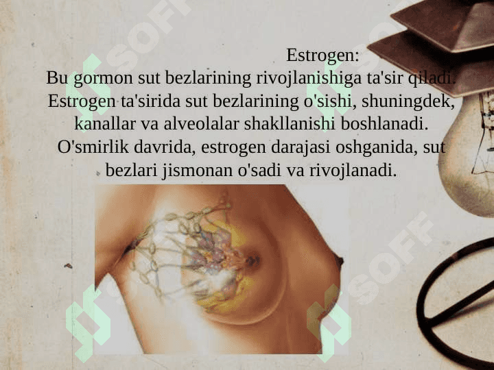 Sut bezlari faoliyatining boshqariluvi, sut bezlarining yoshga qarab o'zgarish 7