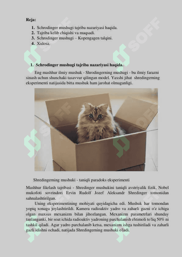Schrodinger mushugi 4 2