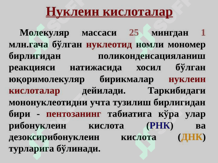 Nuklein kislotalar | Нуклеозидлар ва нуклеотидлар. Нуклеин кислоталар 4