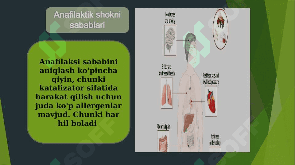 Anafilaktik Shok 3