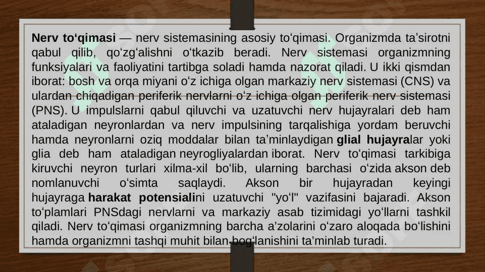 Nerv haqida umumiy tushuncha 2