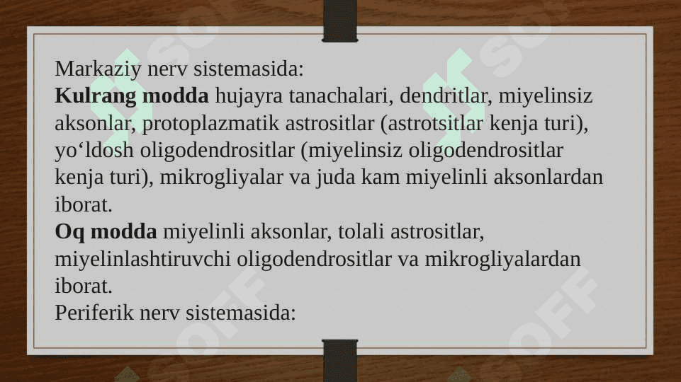 Nerv haqida umumiy tushuncha 3