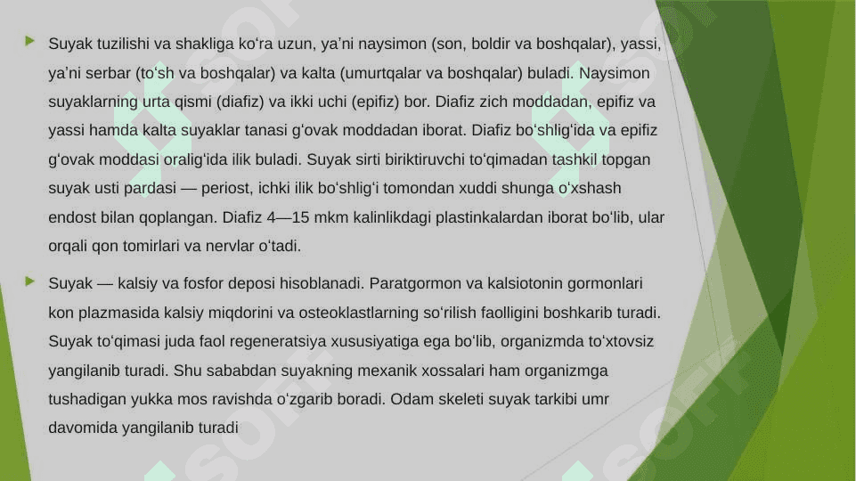 Suyaklar 3
