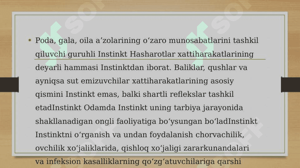 Hasharotlarning fe’l-atvorlari 3