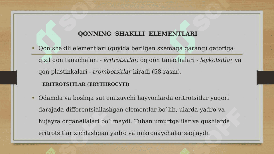 Qonning shaklli elementlari 2