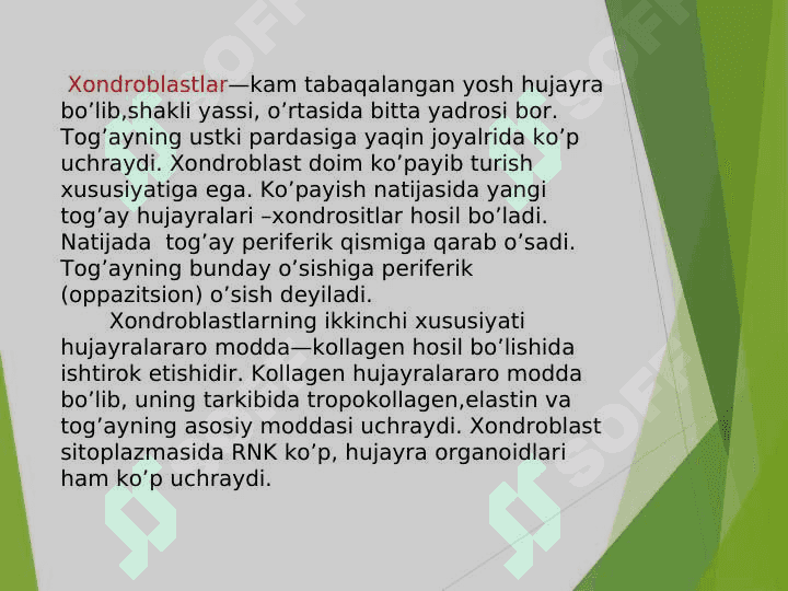 Tog’ay va suyak to’qimasi 4
