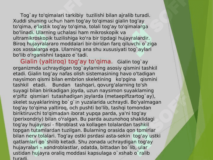 Tog’ay va suyak to’qimasi 7
