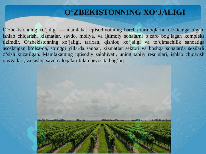 O’ZBEKISTONNING XO’JALIGIGA UMUMIY TA'RIF 2