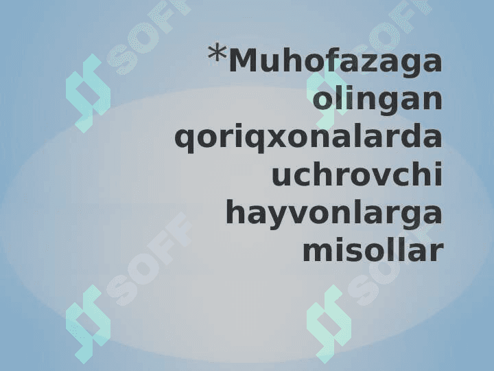 O`zbekiston qo`riqxonalari 8