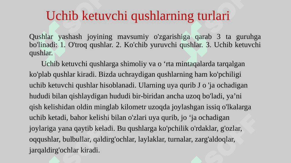 Uchib ketuvchi qushlar asosiy turlarining hayoti 3