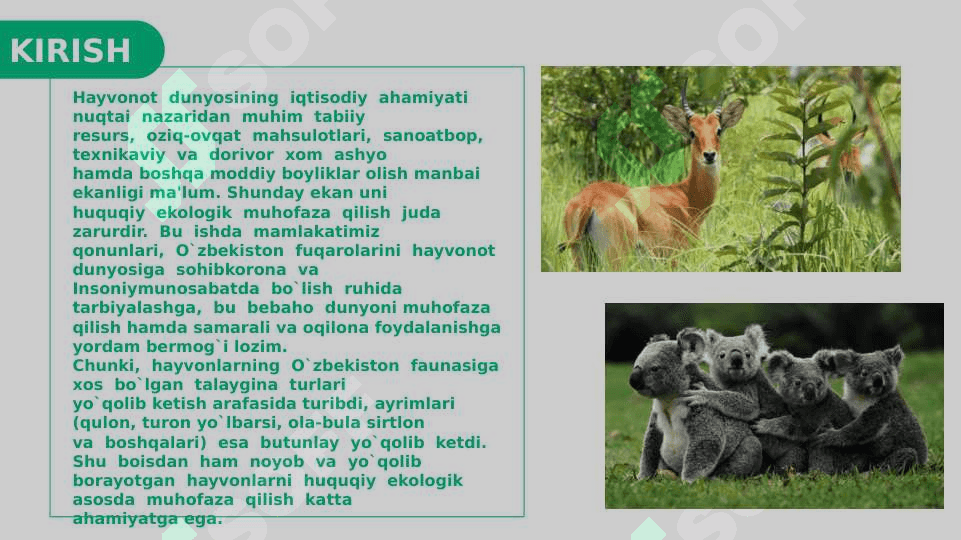SUTEMIZUVCHILARNI MUHOFAZA QILISH 3