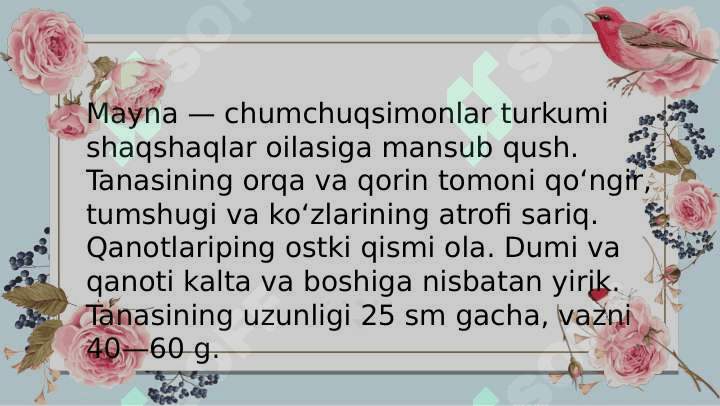 O'troq qushlar,asosiy turlarining hayoti 7