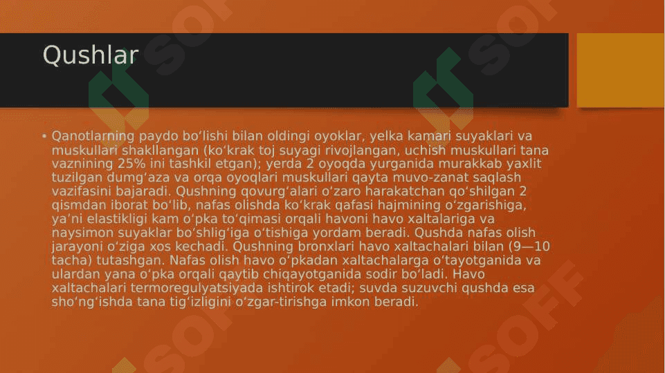 Ko‘chib yuruvchi qushlarning asosiy turlari 4