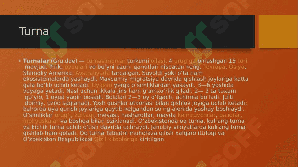 Ko‘chib yuruvchi qushlarning asosiy turlari 6