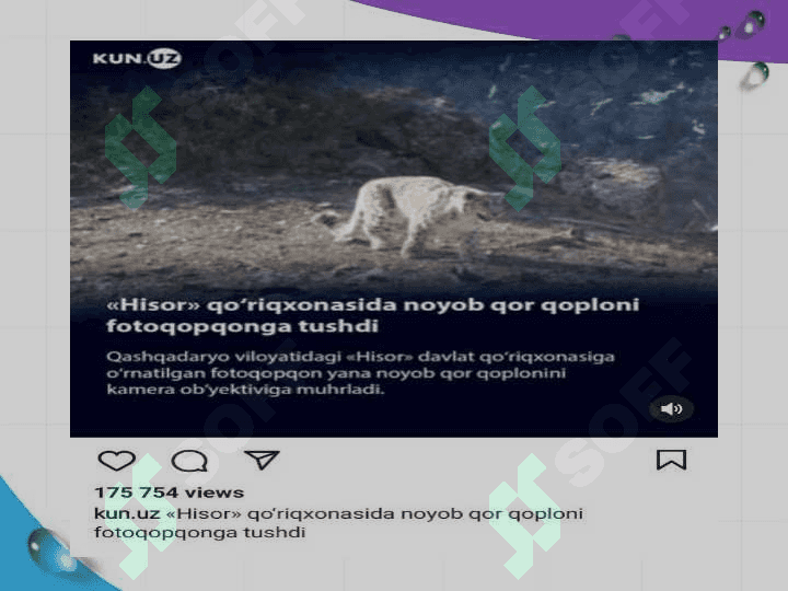 Mushuksimonlar hayot kechirishi va tarqalishi. 5