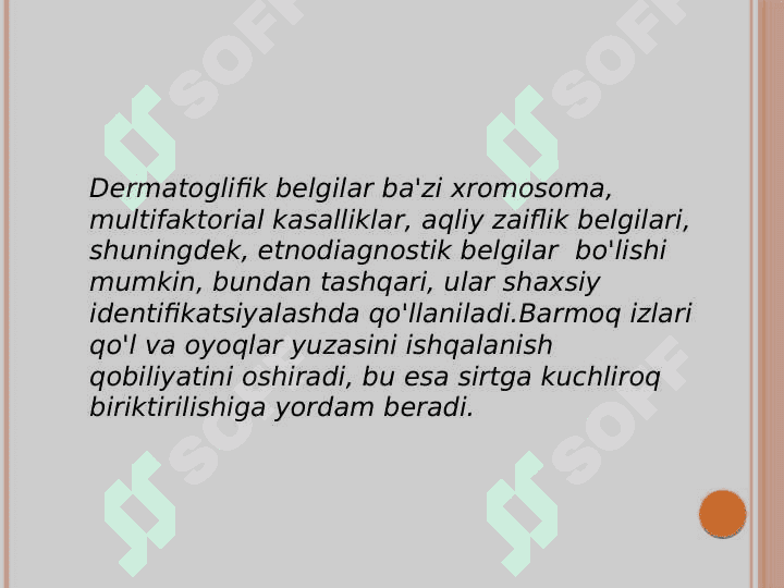 Dermatoglifika 3