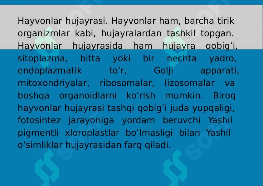 2-Mavzu: Bir hujayralilar kenja olami. Protozoa 2