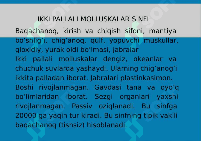7-Mavzu: Mollyuskalar (Mollusca)tipi. 6