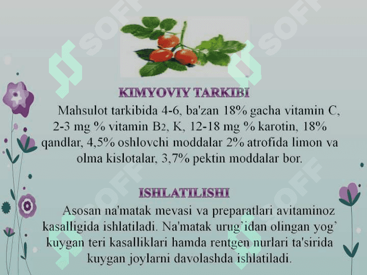 Xalq tabobatida davolash usullari.Ibn Sino davrida sharqda qo'llanilgan davolash usullari 7