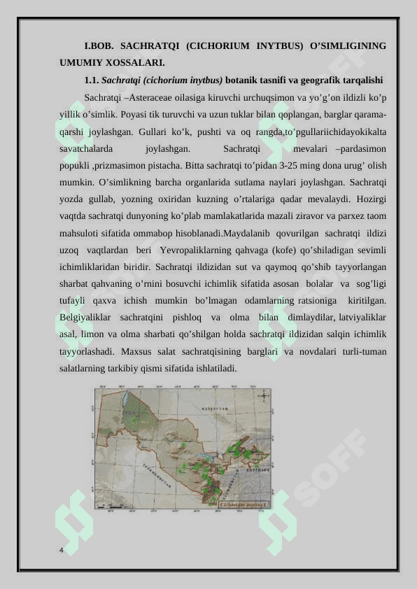 Sachratqi (cichorium inytbus) o’simligining genetik tahlili 4