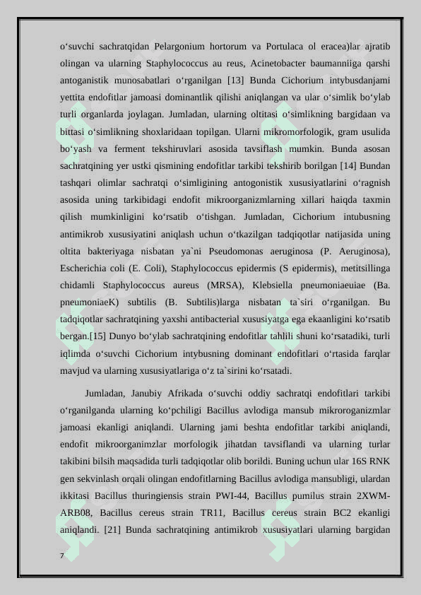 Sachratqi (cichorium inytbus) o’simligining genetik tahlili 7