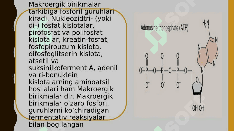 Makroergik birikmalar va ularning moddalar almashinuvidagi o’rni 3