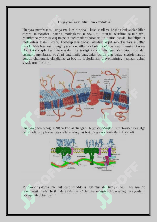 Hujayra patofiziologiyasi 2