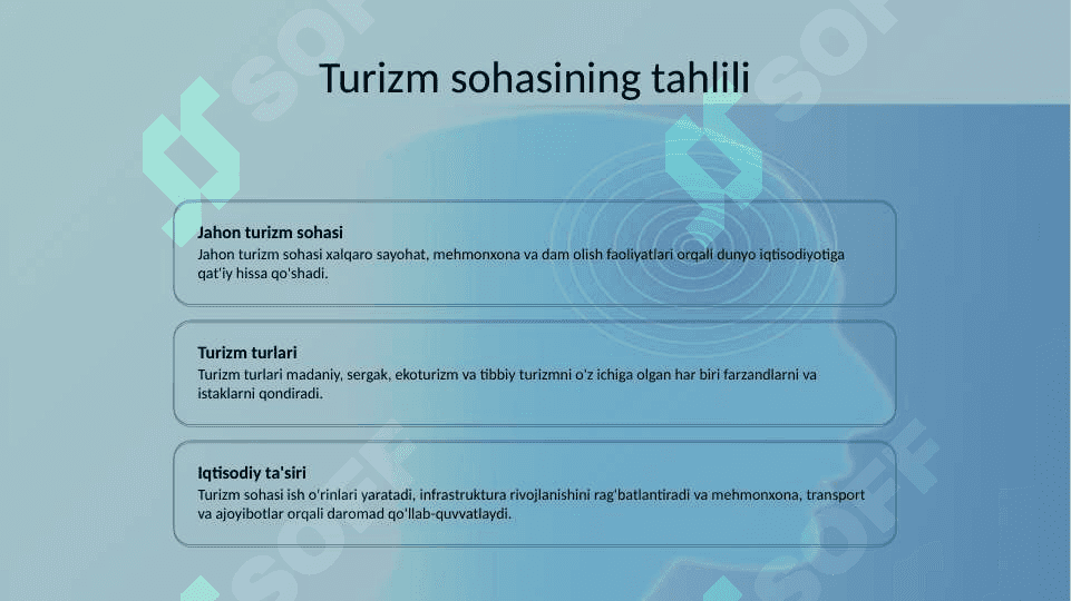 Turizmning iqtisodiy ahamiyatini oshirishda turoperatorlarning o'rni 3