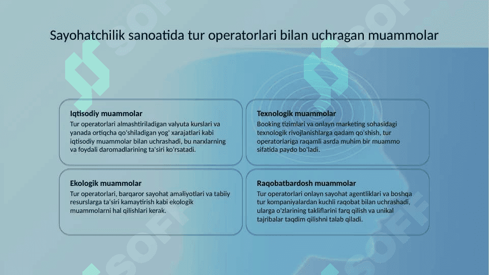 Turizmning iqtisodiy ahamiyatini oshirishda turoperatorlarning o'rni 6