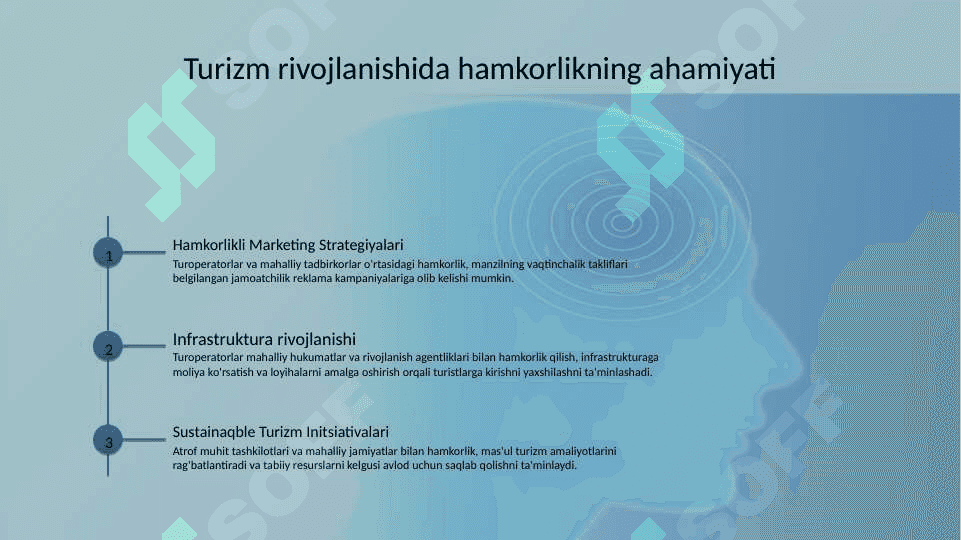 Turizmning iqtisodiy ahamiyatini oshirishda turoperatorlarning o'rni 8