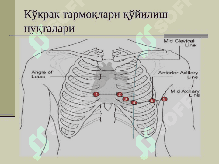 Нормал ЭКГ Elektrokardiograf 4