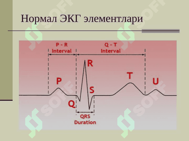 Нормал ЭКГ Elektrokardiograf 8