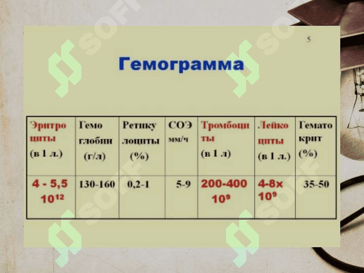 HAR XIL YOSHDAGI BOLALARDA GEMOGRAMMA 2