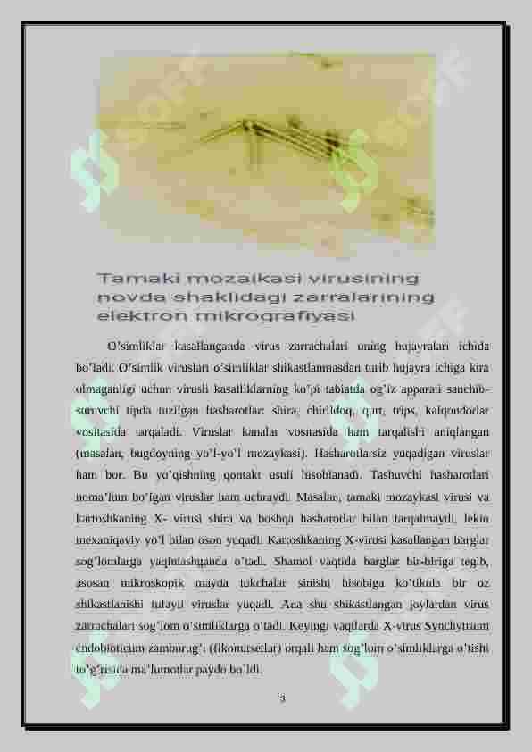 Fitopatogen viruslar va ularning xalq xo`jaligidagi ahamiyati 3