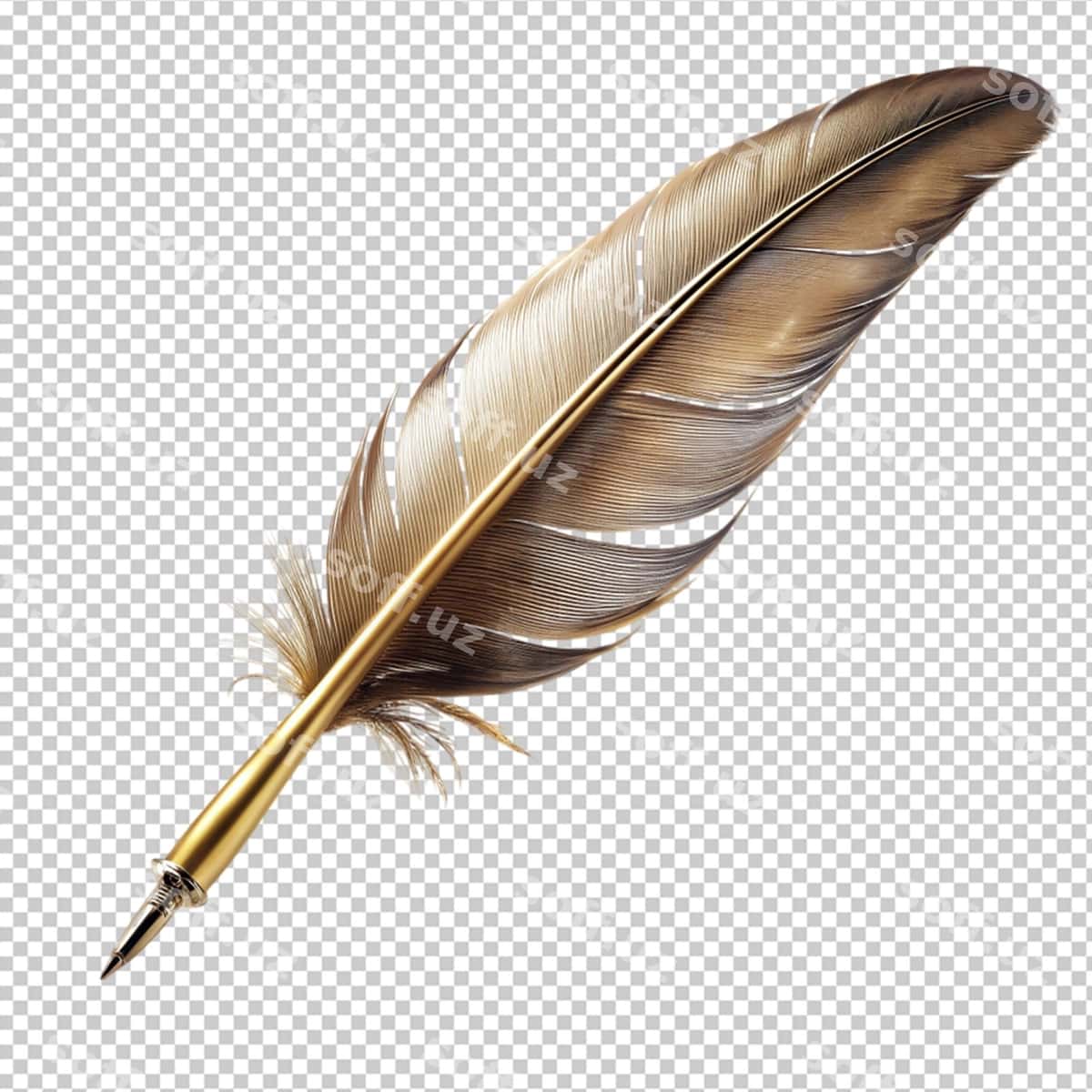 Shaffof orqa fondagi suzilgan tirjaxon qalam | Floated quill pen transparent background 1