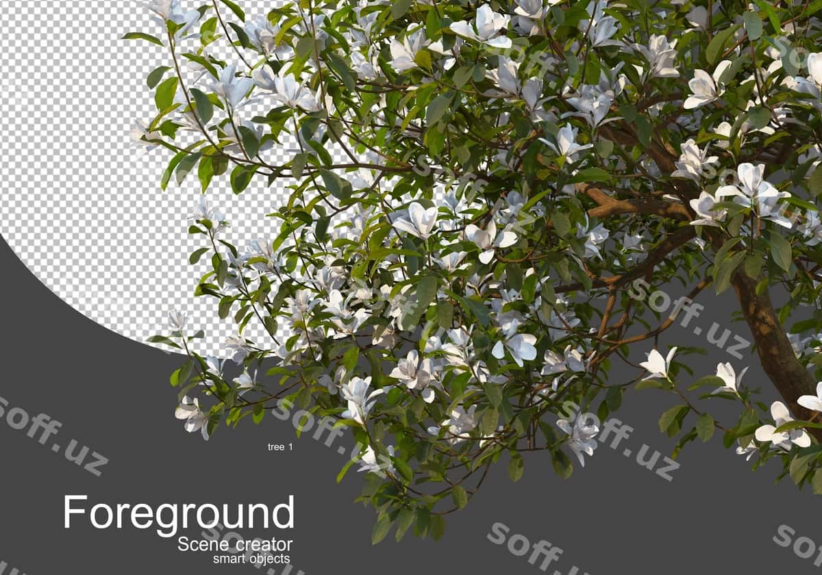 Gullaydigan daraxtlar oldingi kamera | Flowering trees front camera 1
