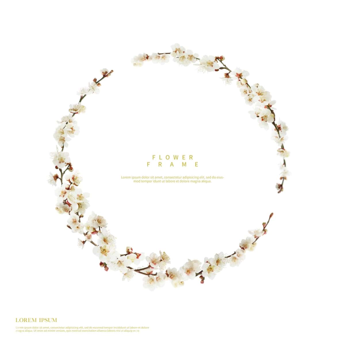Ramkalar go'zal gullar bilan | Frames with beautiful flowers 1
