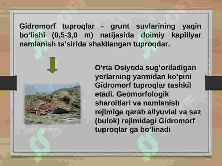 gidromorf tuproqlar 2