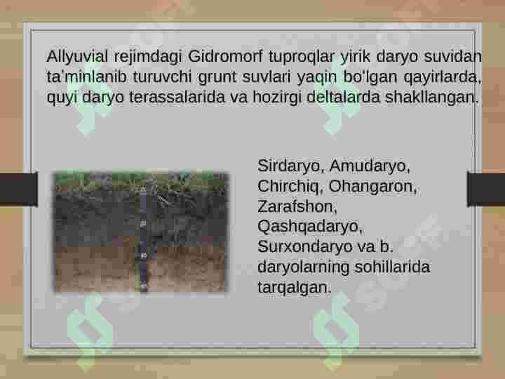 gidromorf tuproqlar 3