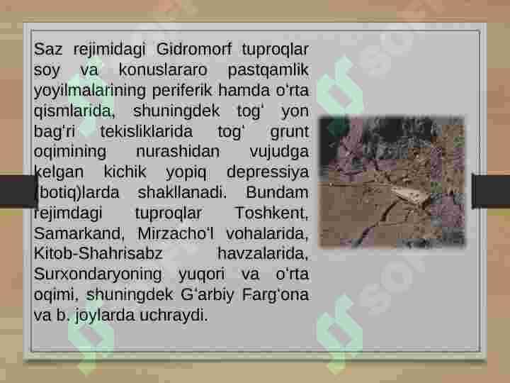 gidromorf tuproqlar 4